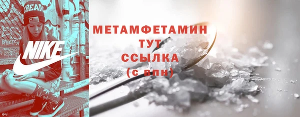 индика Горнозаводск