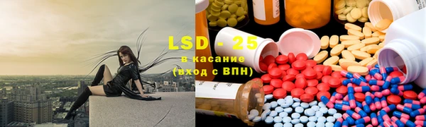 индика Горнозаводск