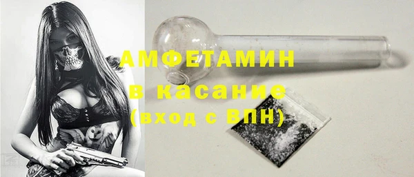 индика Горнозаводск