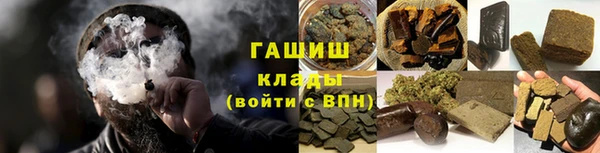 индика Горнозаводск