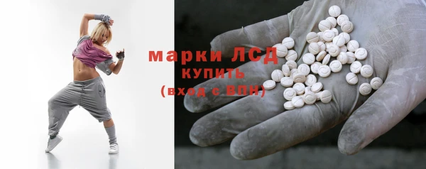 индика Горнозаводск