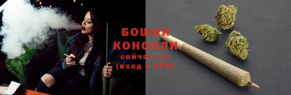 индика Горнозаводск