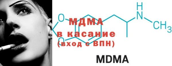 индика Горнозаводск