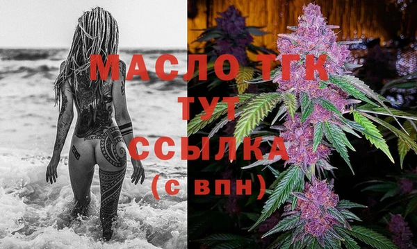 индика Горнозаводск