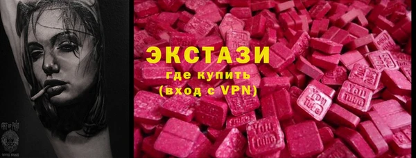 индика Горнозаводск