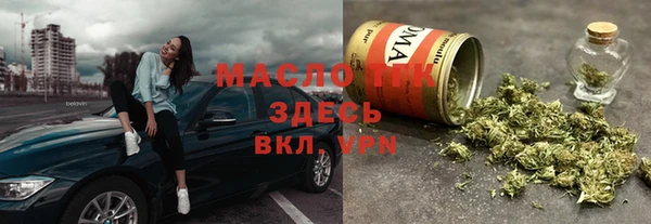 индика Горнозаводск